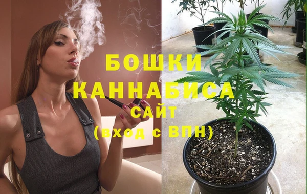 ГАЛЛЮЦИНОГЕННЫЕ ГРИБЫ Каменногорск