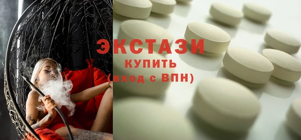 гидра Каменка