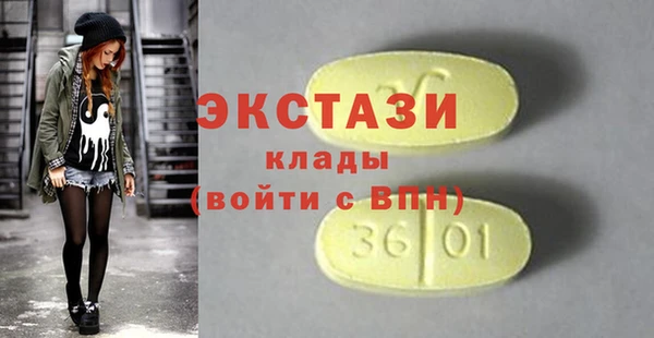 гидра Каменка