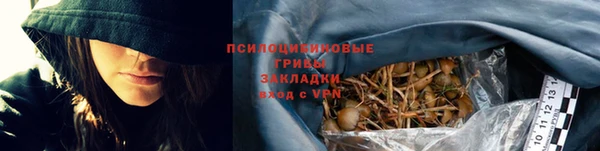 spice Касимов