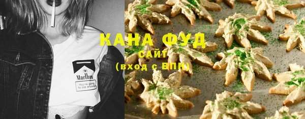 гидра Каменка