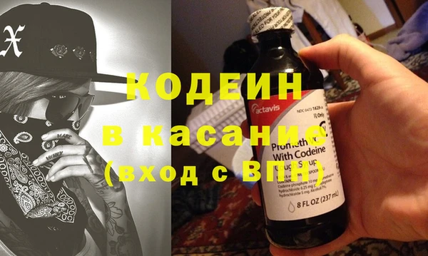 гидра Каменка