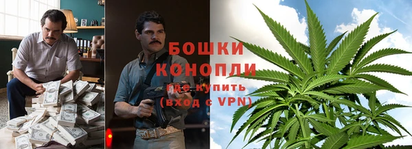 ГАЛЛЮЦИНОГЕННЫЕ ГРИБЫ Каменногорск