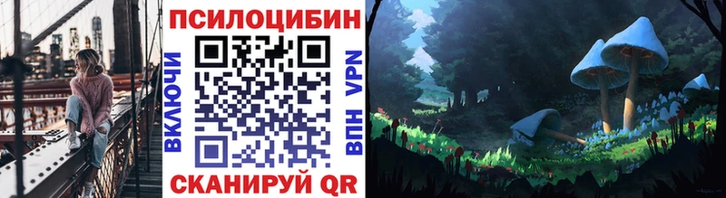 Купить  Лихославль  Псилоцибиновые грибы Psilocybine cubensis 